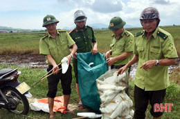 Ngày đầu ra quân, huyện Kỳ Anh thu giữ hơn 1.800 dụng cụ bẫy chim