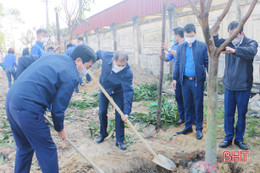 Các cơ sở y tế Hà Tĩnh trồng hàng ngàn cây xanh, cây ăn quả đầu xuân