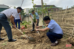 Phủ xanh không gian đô thị trung tâm Hà Tĩnh