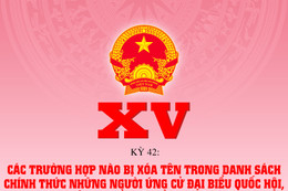 Các trường hợp nào bị xóa tên trong danh sách chính thức những người ứng cử đại biểu Quốc hội, HĐND?