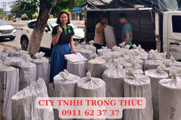 Đơn vị cung cấp quây chống chuột ô tô giá tốt - Trọng Thức