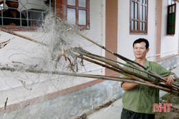 Thu giữ, tiêu hủy trên 3.000m lưới bẫy chim trời