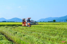 Chủ động trong sản xuất, Hà Tĩnh giành thắng lợi vụ hè thu 2022