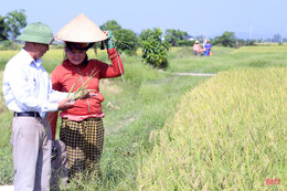 Niềm vui nhân đôi của nông dân Hà Tĩnh