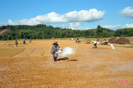 Nông dân Hương Khê rộn ràng xuống đồng khôi phục vụ đông