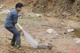 Thả 41 động vật hoang dã về môi trường tự nhiên