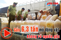 Bắt xe tải chở gần 6,3 tấn mỡ động vật không rõ nguồn gốc xuyên Việt