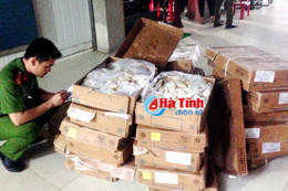 Thu giữ trên 500 kg đùi, cánh gà, mực ống “bẩn”