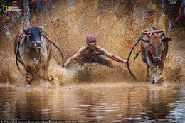 Khoảnh khắc thế giới đẹp diệu kỳ trong cuộc thi của National Geographic