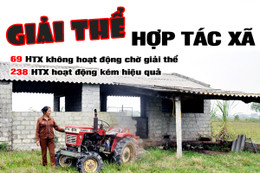 Giải thể HTX “hữu danh vô thực” - Sớm một ngày, hay nhiều điều!