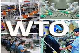 10 năm gia nhập WTO và câu hỏi còn lại