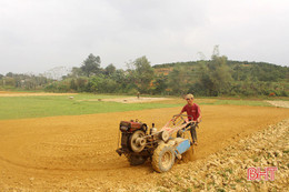 Nông dân Hà Tĩnh “đua” nắng ráo, đẩy nhanh tiến độ gieo trỉa lạc xuân