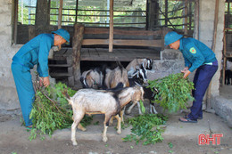 Tăng gia sản xuất, nâng cao chất lượng bữa ăn bộ đội