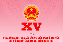 Xác minh, trả lời các vụ việc cử tri nêu đối với người ứng cử đại biểu Quốc hội, HĐND được thực hiện ra sao?