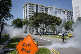 Thế giới ngày qua: 242 người ở Singapore nhiễm virus Zika chỉ sau 1 tuần