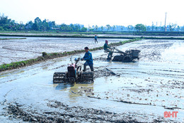 Nông dân Hà Tĩnh đẩy nhanh tiến độ gieo cấy lúa xuân trước khi không khí lạnh tràn về