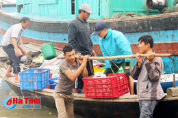 Thuyền về cá lại đầy khoang...