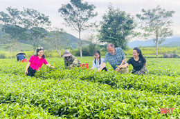 Ngân hàng Phát triển châu Á xem xét đầu tư phát triển du lịch bền vững tại Hà Tĩnh