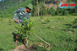 Phú Lâm chuyển mình