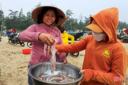 Thương lái “giành nhau” cá cháo đầu mùa