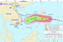 Chủ động đối phó với bão Nock-ten và gió mùa Đông Bắc