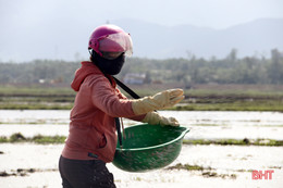 Nắng lên, nông dân Hà Tĩnh tất bật xuống đồng triển khai vụ xuân