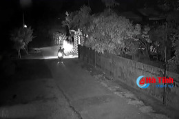 2 đối tượng ngồi trên xe máy trộm chó trong tích tắc