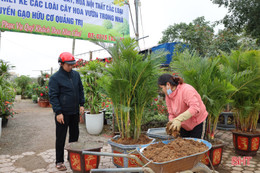 Hà Tĩnh: Hoa, cây cảnh có ý nghĩa phong thủy, tài lộc hút khách