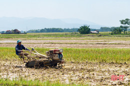 Thời vụ hè thu có khả năng kéo giãn do vụ xuân kết thúc muộn