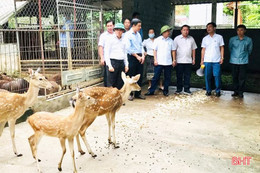 “Nhà sạch, vườn đẹp” giúp đoàn viên công đoàn huyện miền núi Hà Tĩnh ngày càng khấm khá