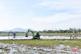 Tiếp tục chuyển đổi ruộng đất, Kỳ Anh hướng đến sản xuất nông nghiệp hiện đại