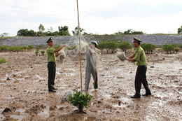 Lộc Hà ra quân xử lý tình trạng săn bắt chim hoang dã trái phép