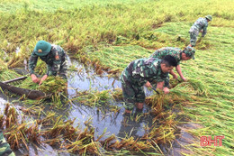 Biên phòng Cửa Sót giúp dân gặt lúa "chạy" úng ngập