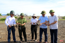 Cần có chuyên gia đầu ngành xác định nguyên nhân rừng ngập mặn ở TX Kỳ Anh bị chết trước khi tiến hành trồng thay thế