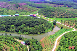 Khơi tiềm năng, sát cánh nhà đầu tư làm giàu trên miền “núi thơm”