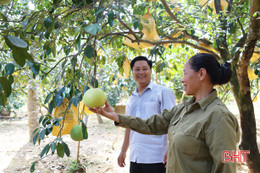 Nông dân Hà Tĩnh chất phác, kiên định, linh hoạt và sáng tạo