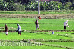 Chủ động phòng, chống hạn hán và xâm nhập mặn