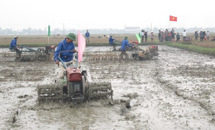 Đàn ông tay cày...