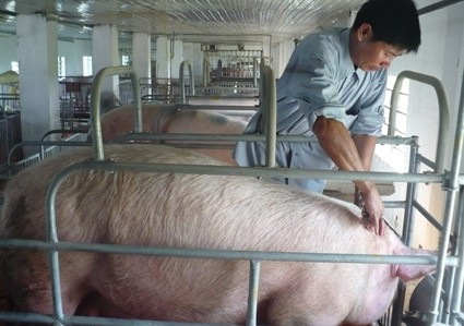 Chủ động tiêm phòng giúp người dân huyện Can Lộc phòng chống được các dịch bệnh nguy hiểm