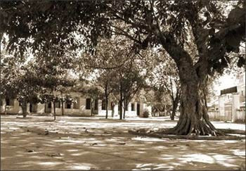 Trường xưa. Ảnh minh hoạ