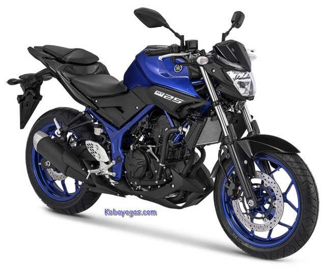 Yamaha MT-25 2018 bổ sung màu mới, giá từ 76 triệu đồng