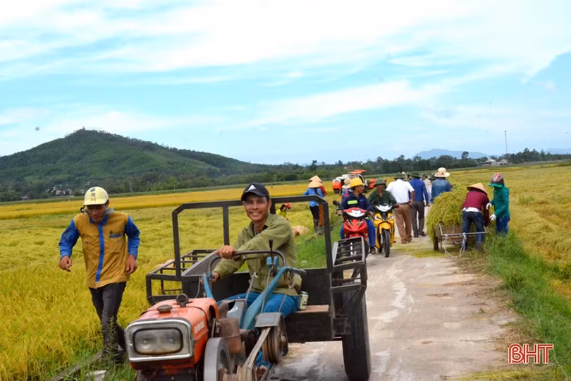 “Máy về tận ruộng, thương lái mua thóc tươi, nông dân chúng tôi phấn khởi lắm”