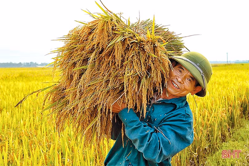 Nhịp sống mới trên vùng quê cách mạng