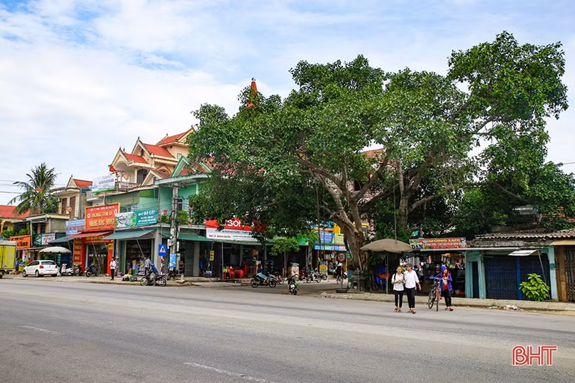 Nhịp sống mới trên vùng quê cách mạng