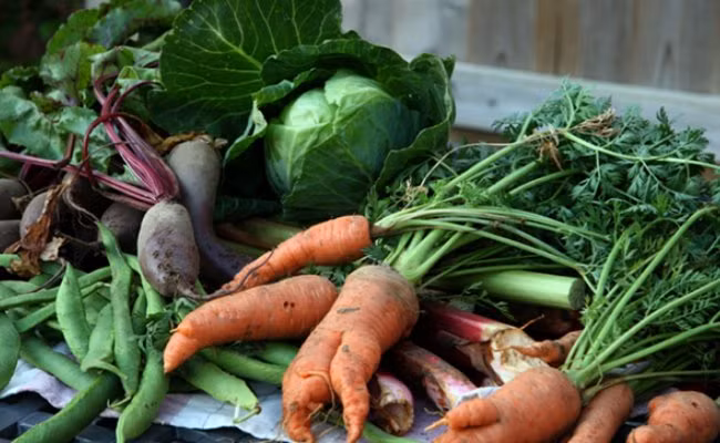 Những thực phẩm ảnh hưởng đến quá trình điều trị viêm loét dạ dày