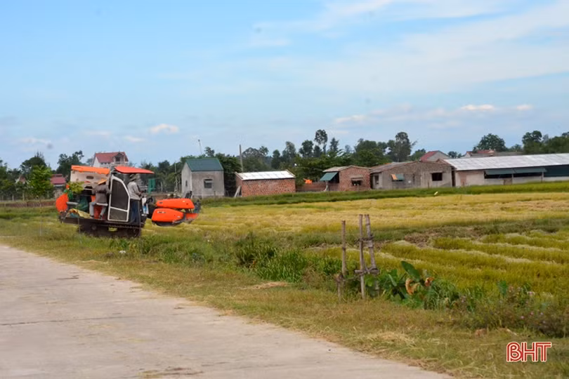 “Máy về tận ruộng, thương lái mua thóc tươi, nông dân chúng tôi phấn khởi lắm”