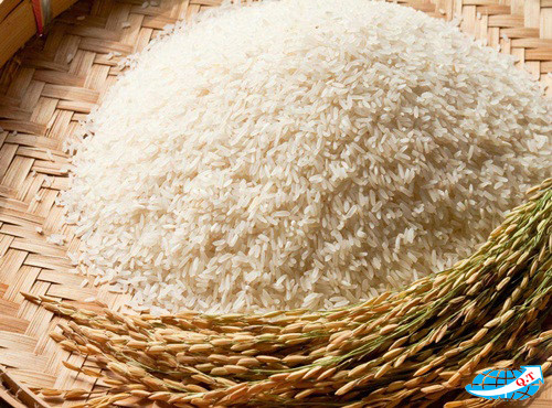 Phân biệt gạo thơm tẩm thuốc và gạo thơm chính hiệu