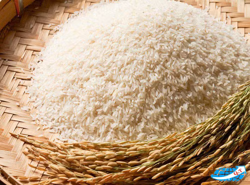 Phân biệt gạo thơm tẩm thuốc và gạo thơm chính hiệu