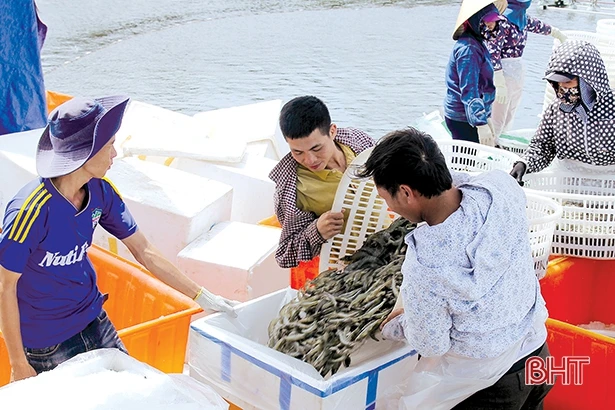 Hà Tĩnh hướng đến mục tiêu tăng trưởng, phát triển bền vững