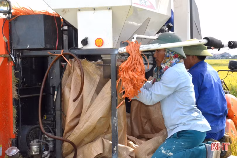 “Máy về tận ruộng, thương lái mua thóc tươi, nông dân chúng tôi phấn khởi lắm”